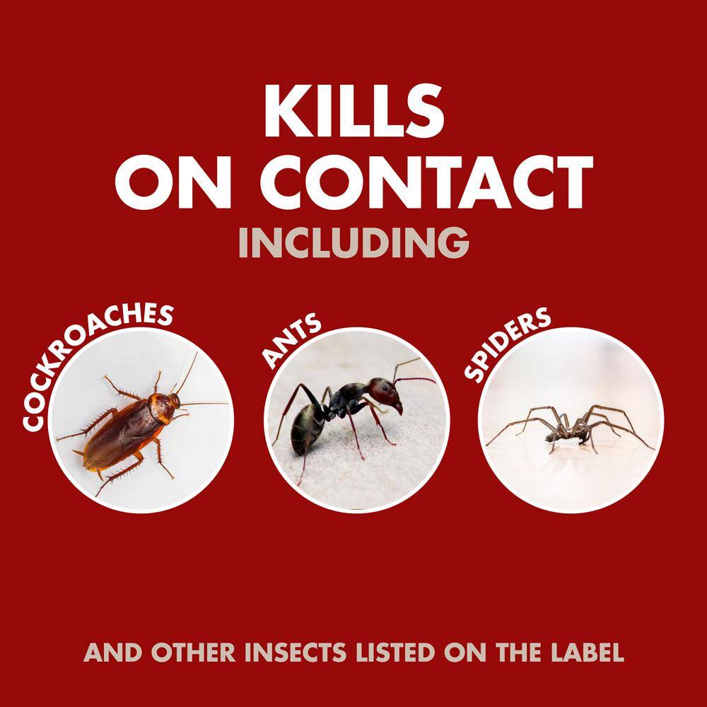 Spectracide Bug Stop 32 oz. Ready-to-Use Indoor Plus Outdoor Home Insect Control HG-96427