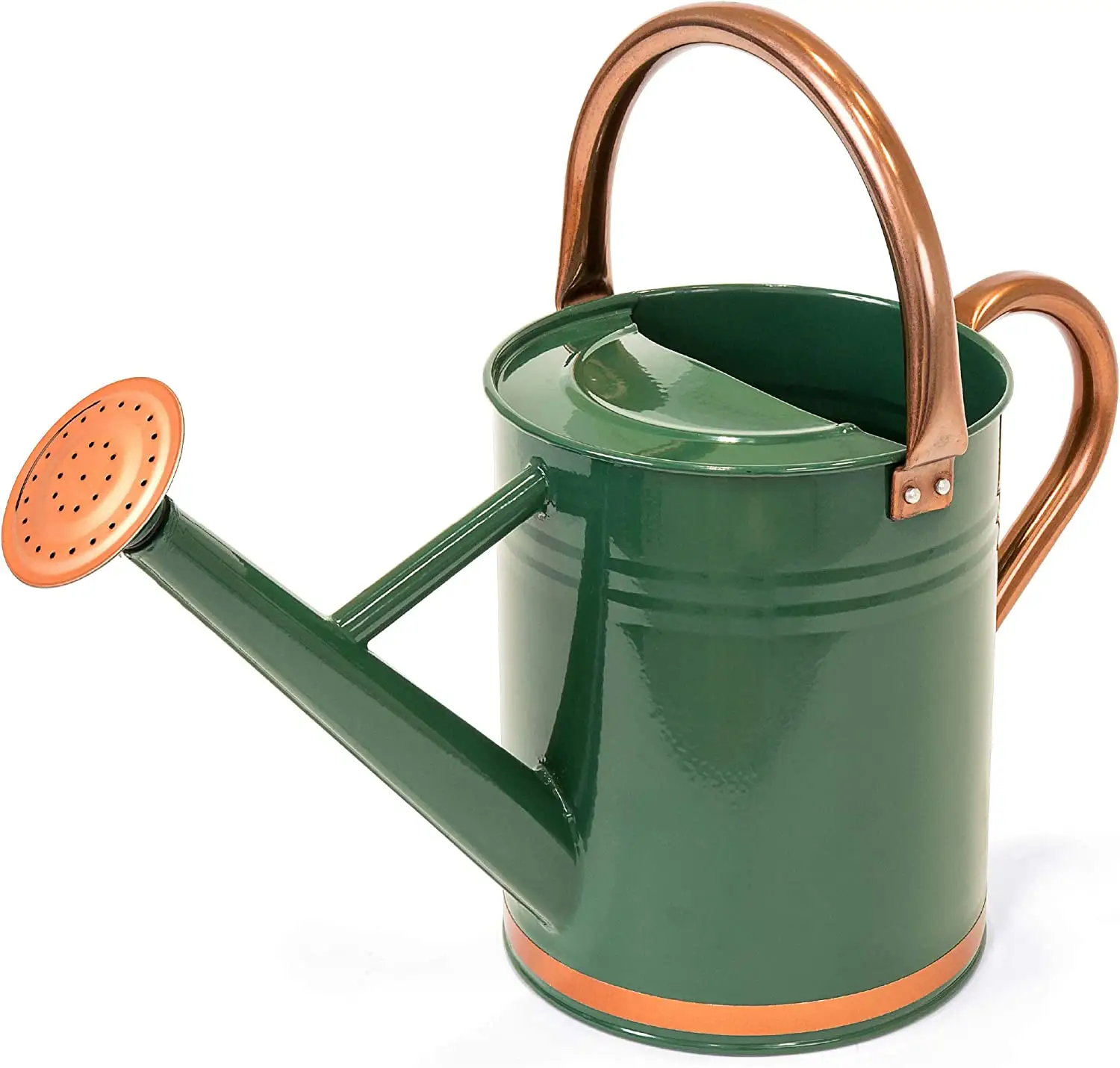 High Selling Watering Can Durable Watering Can for Indoor Outdoor Plant With Easy Pour Goose neck Spout Galvanized Painted Color