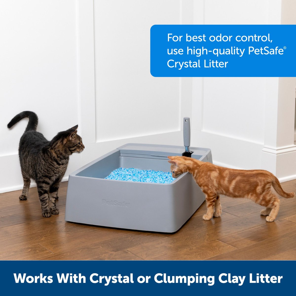 PetSafe Multi-Cat Litter Box