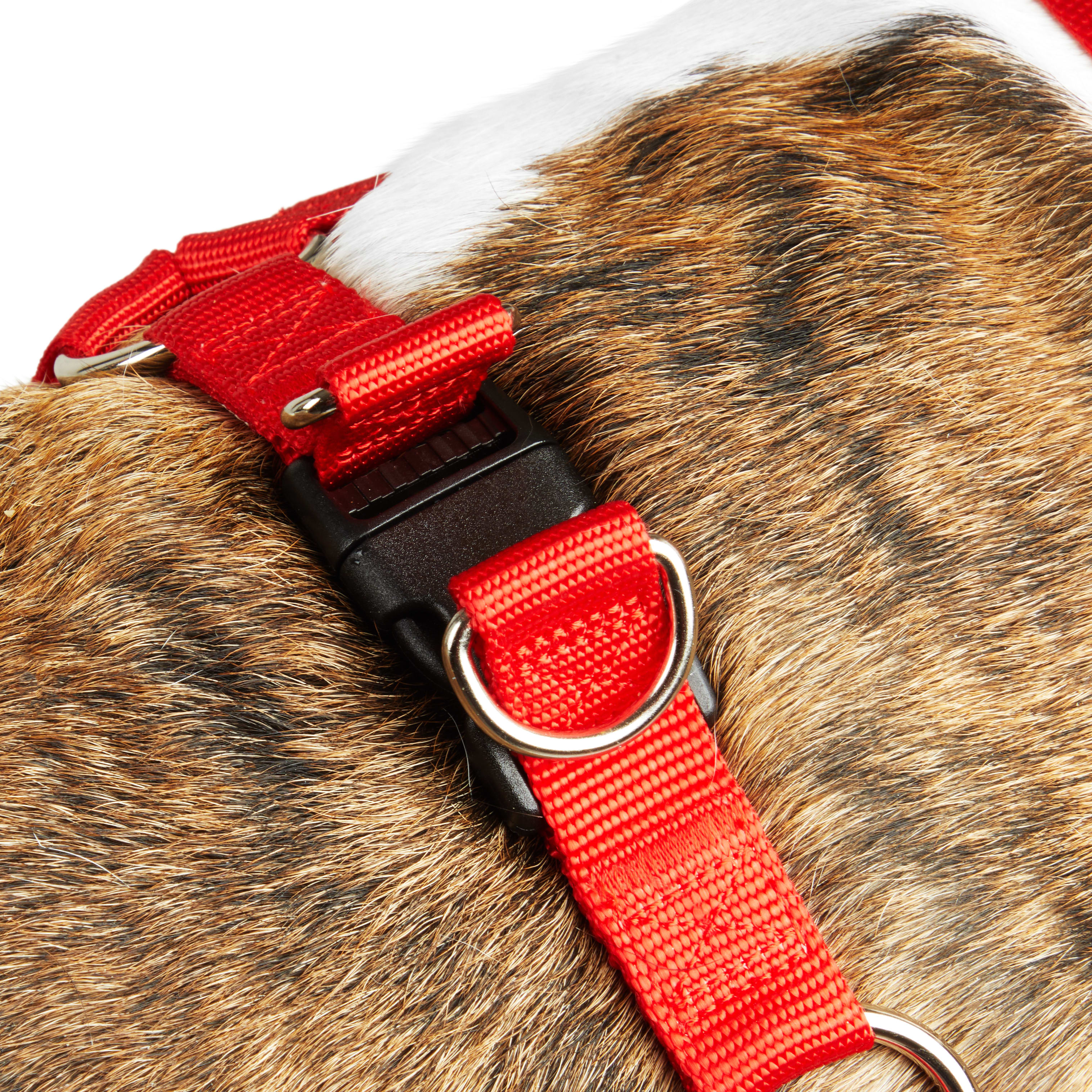 YOULY Red Dog Harness， X-Small