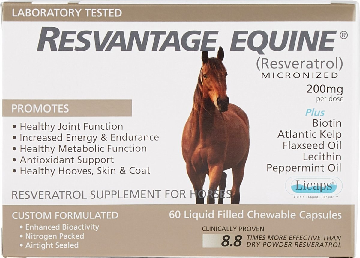 Resvantage Equine Daily Maintenance Comprehensive Capsule Horse Supplement， 60 count