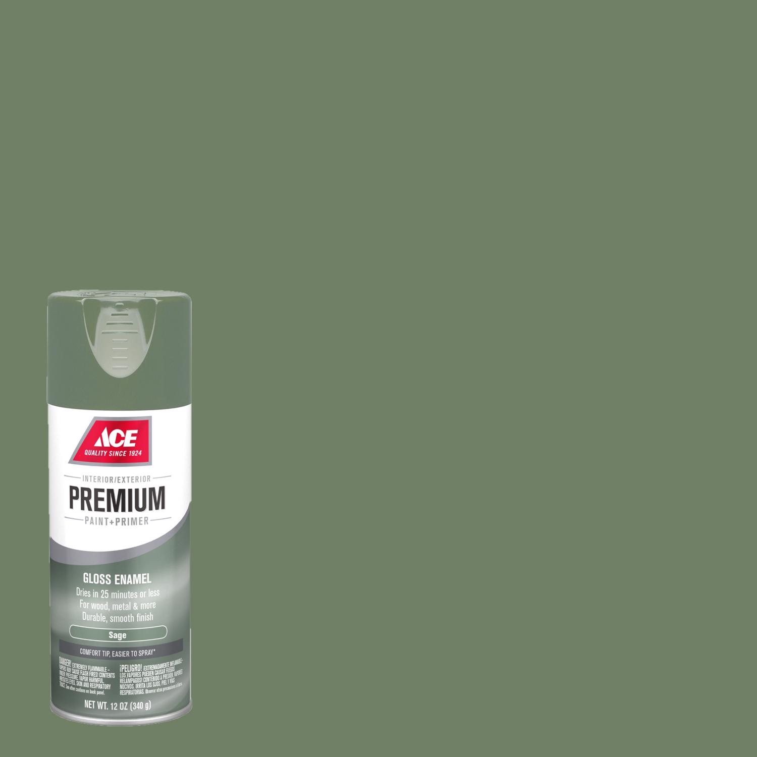 Ace Premium Gloss Sage Paint + Primer Enamel Spray 12 oz