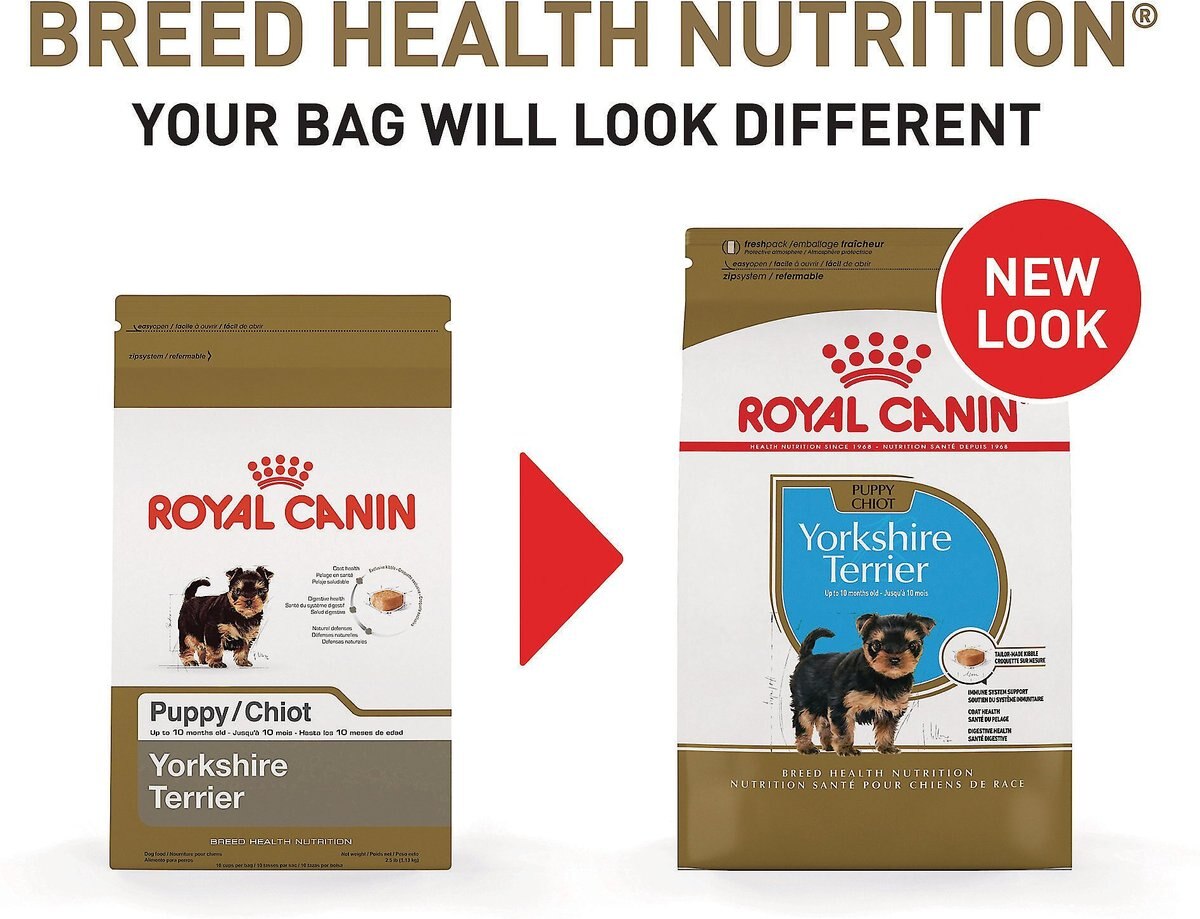 Royal Canin Breed Health Nutrition Yorkshire Terrier Puppy Dry Dog Food