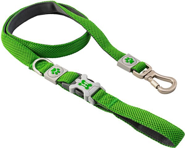 HUGO and HUDSON Mesh Dog Lead