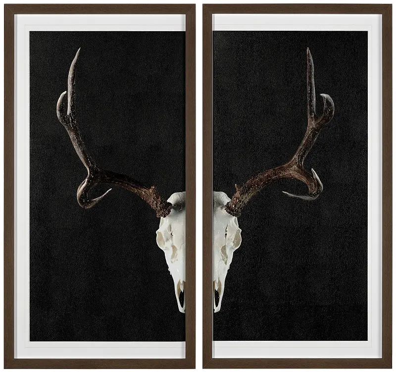 Deer Skull Framed Art