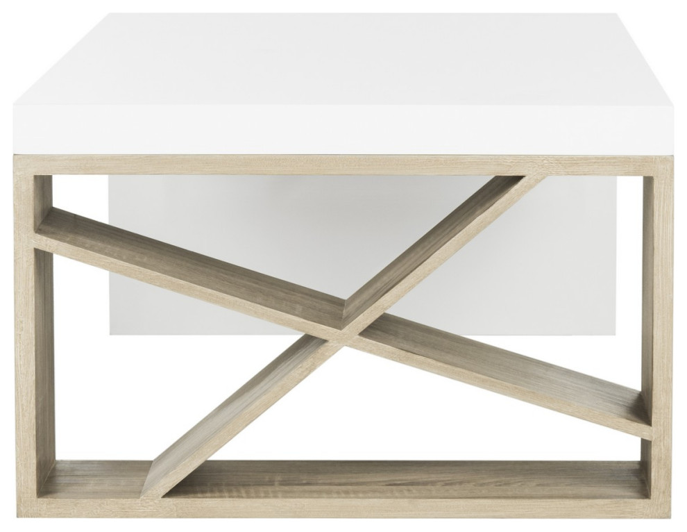 Ingrid Modern Scandinavian Side Storage Lacquer Coffee Table White/ Light Grey   Transitional   Coffee Tables   by Peachtree Fine Furniture  Houzz