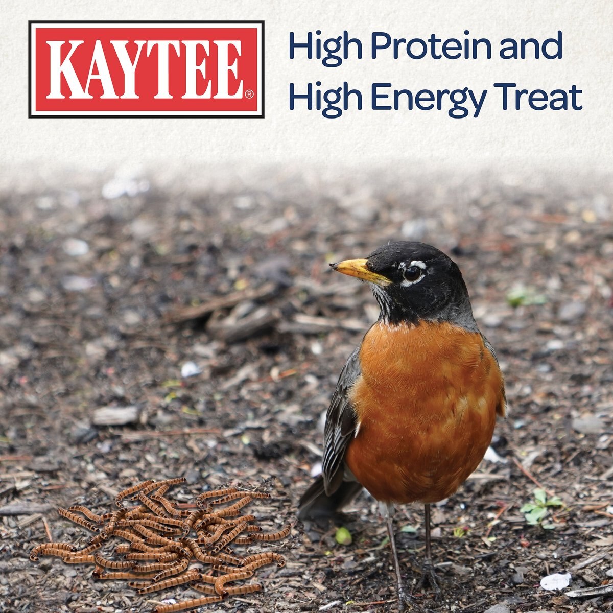 Kaytee Meal Worm Wild Bird Food