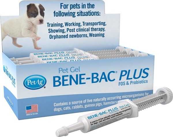 PetAg Bene-Bac Plus Gel Digestive Supplement for Dogs， Cats and Small Pets