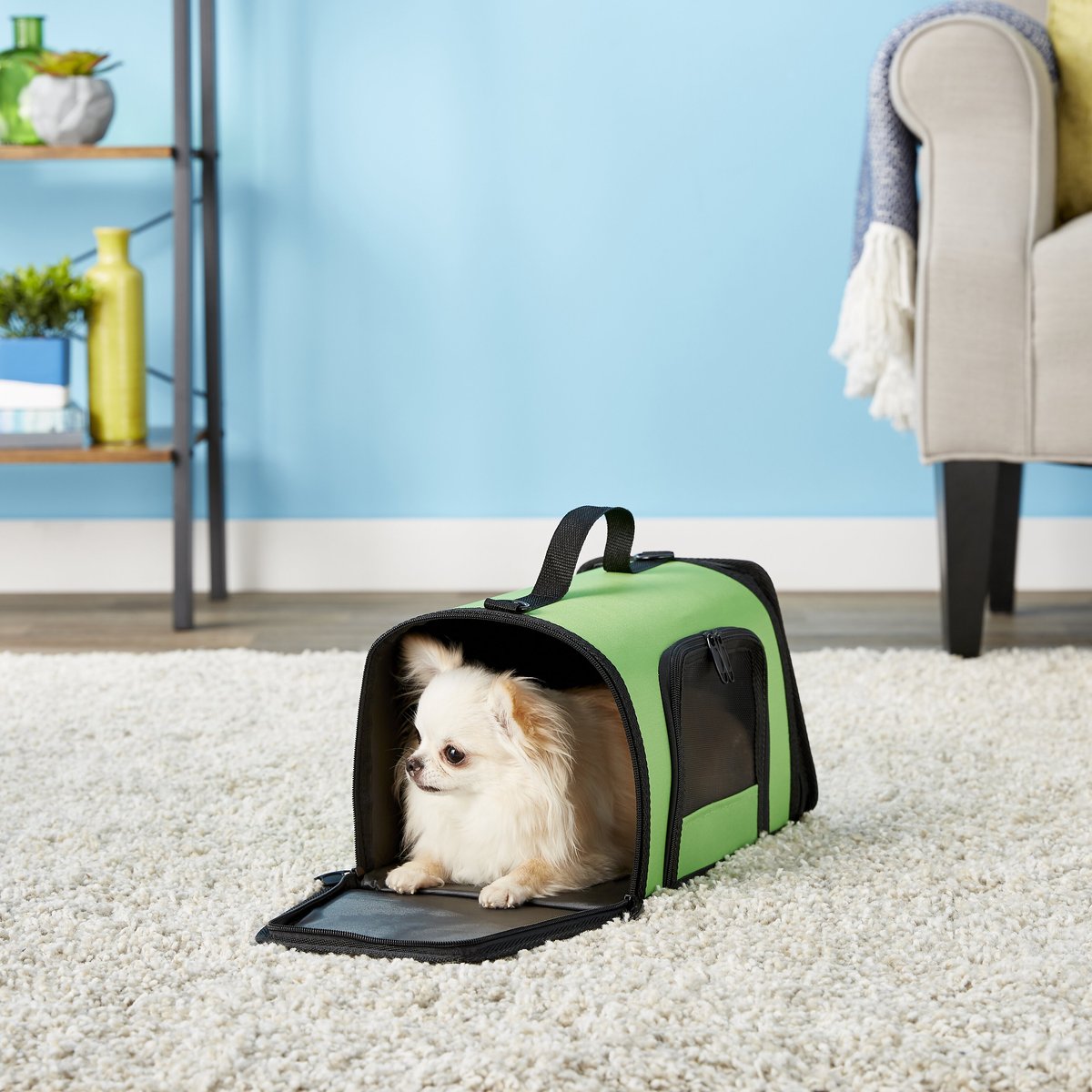 Kaytee Come Along Small Animal Carrier， Color Varies