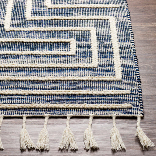 Norwood Jute Blue Rug