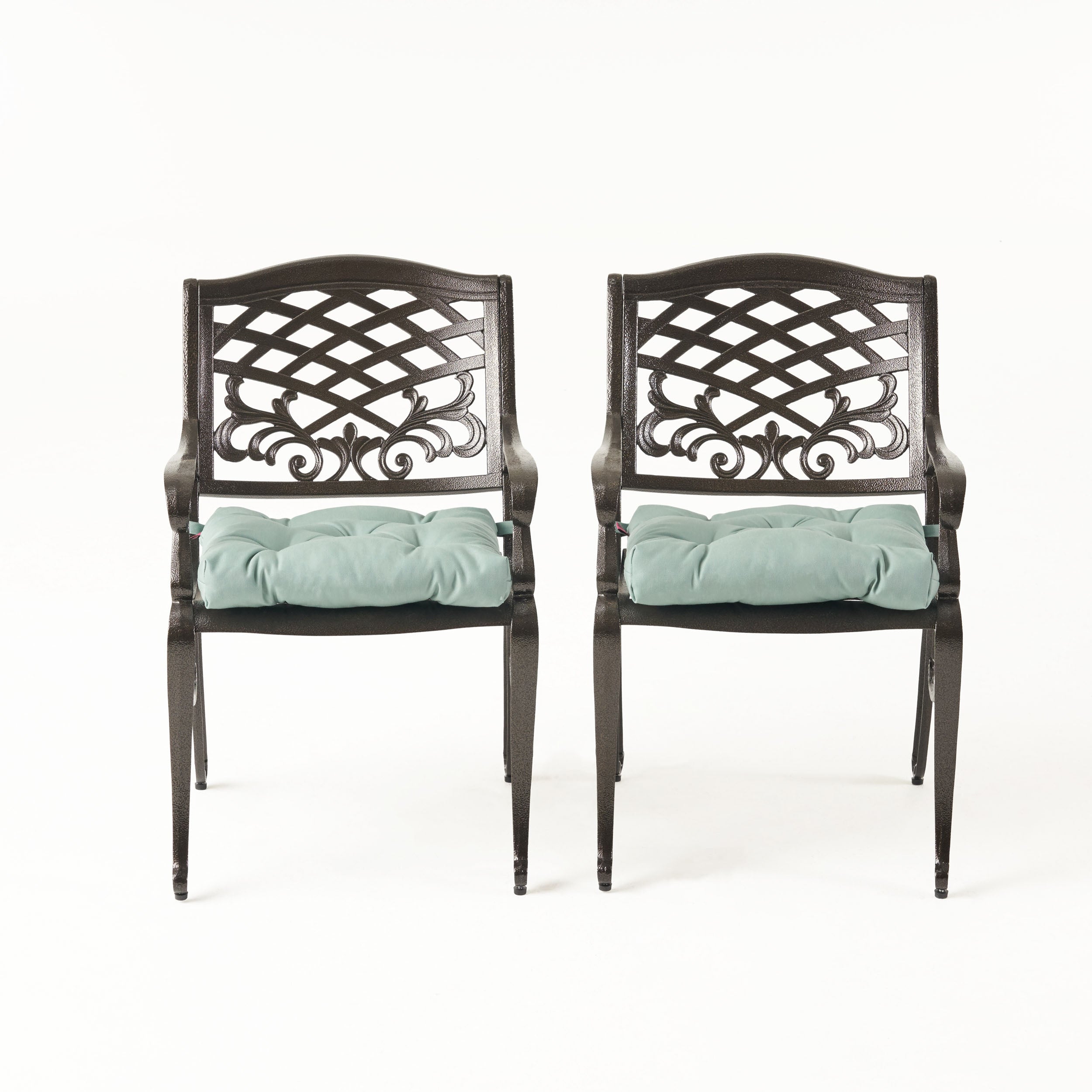 Juel Outdoor Dining Chair with Cushion (Set of 2)