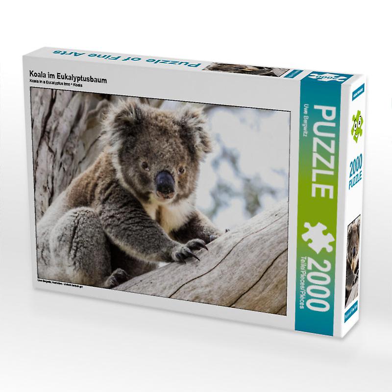 Koala  im eukalyptusbaum - calvendo foto-puzzle