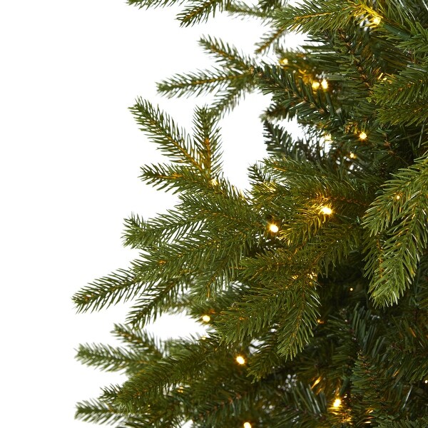 7' Belgium Fir Natural Look Christmas Tree with 500 Clear LED Lights