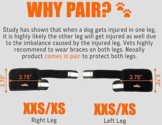 NeoAlly 3-in-1 Front Leg Dog Splint Braces