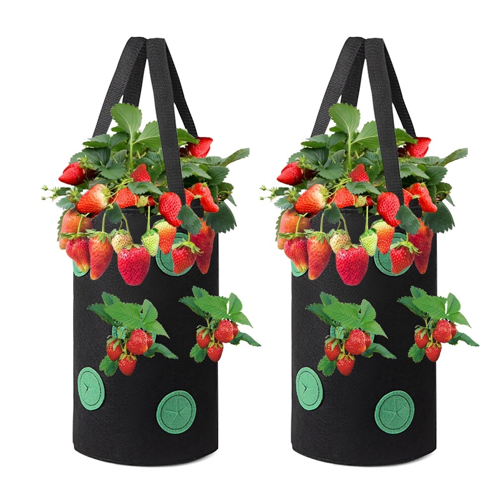 Agfabric Hanging Strawberry Bag，Upside Down Planting Pots for Tomato 3gal 2 Pack green   3gal