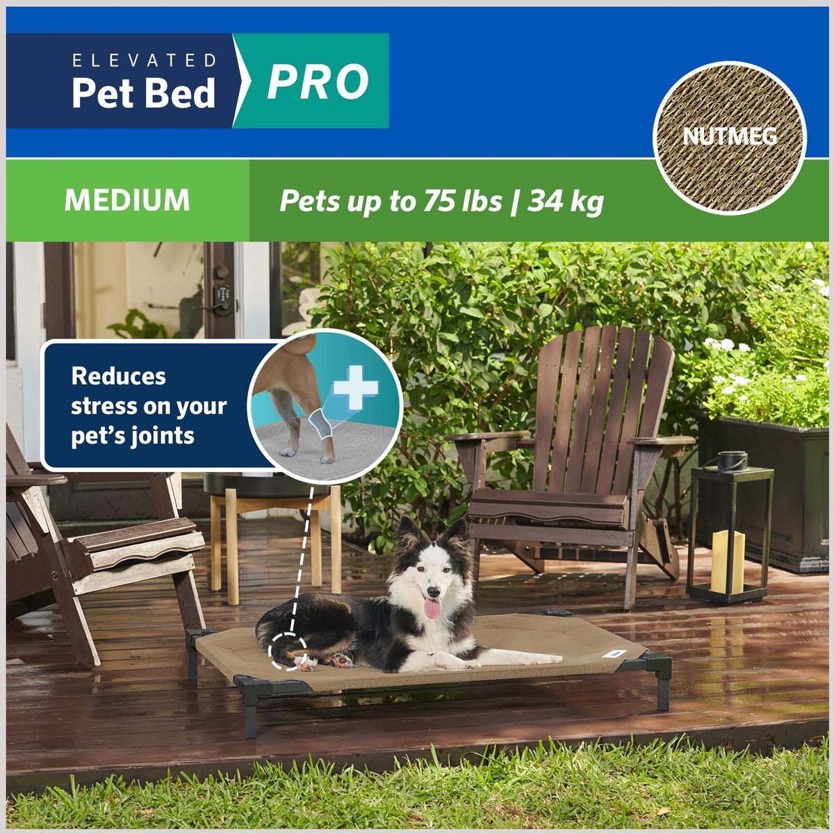 Coolaroo Pro Elevated Dog and Cat Bed