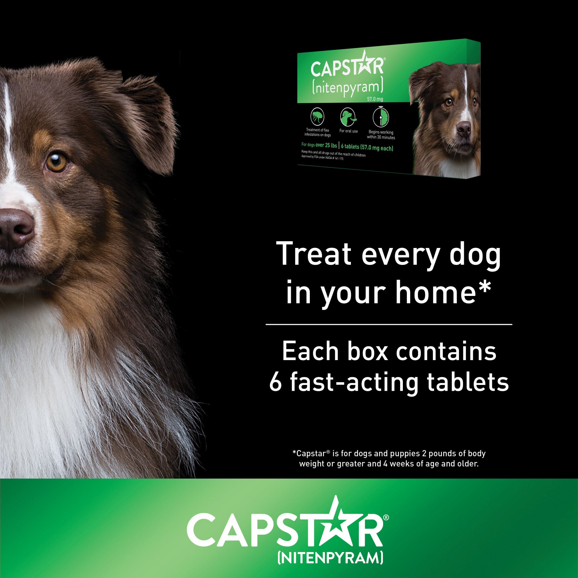 Capstar Flea Tablets for Dogs over 25 lbs.， Count of 6