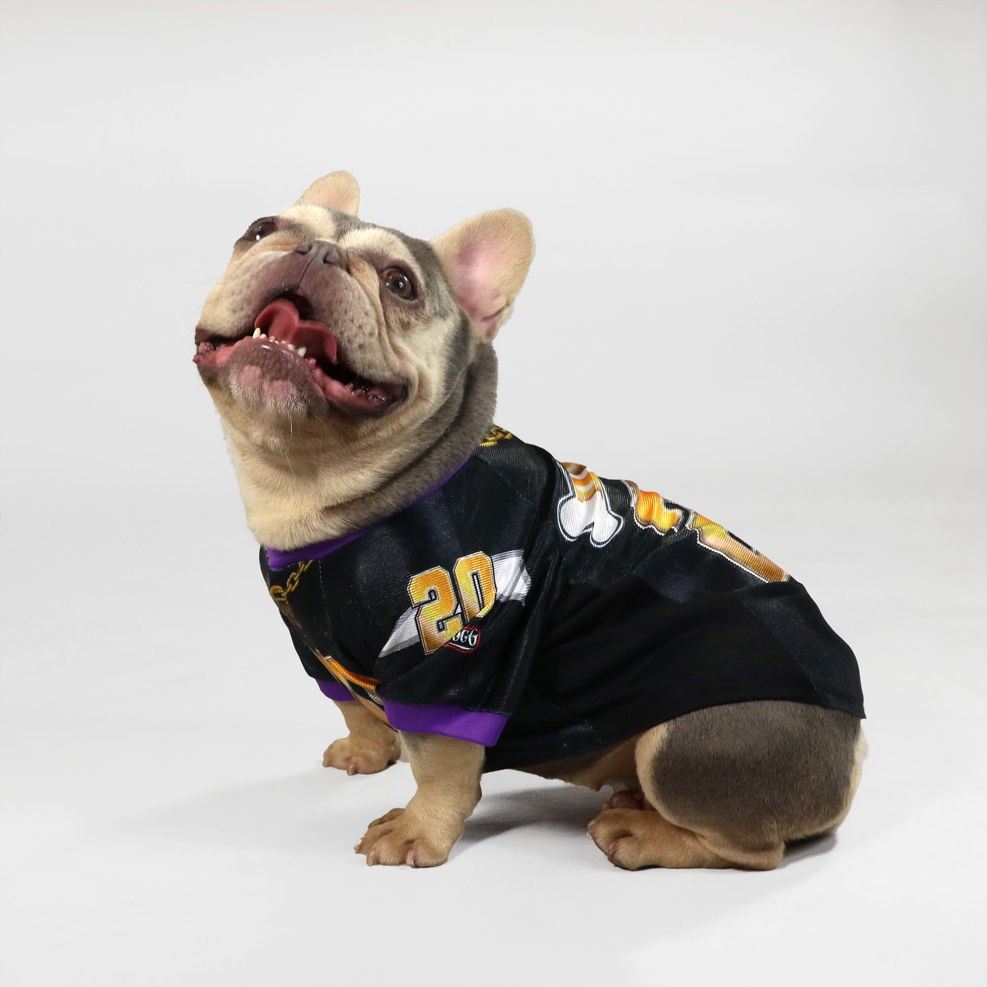 Snoop Doggie Doggs Black Off the Chain Deluxe Pet Jersey， X-Small