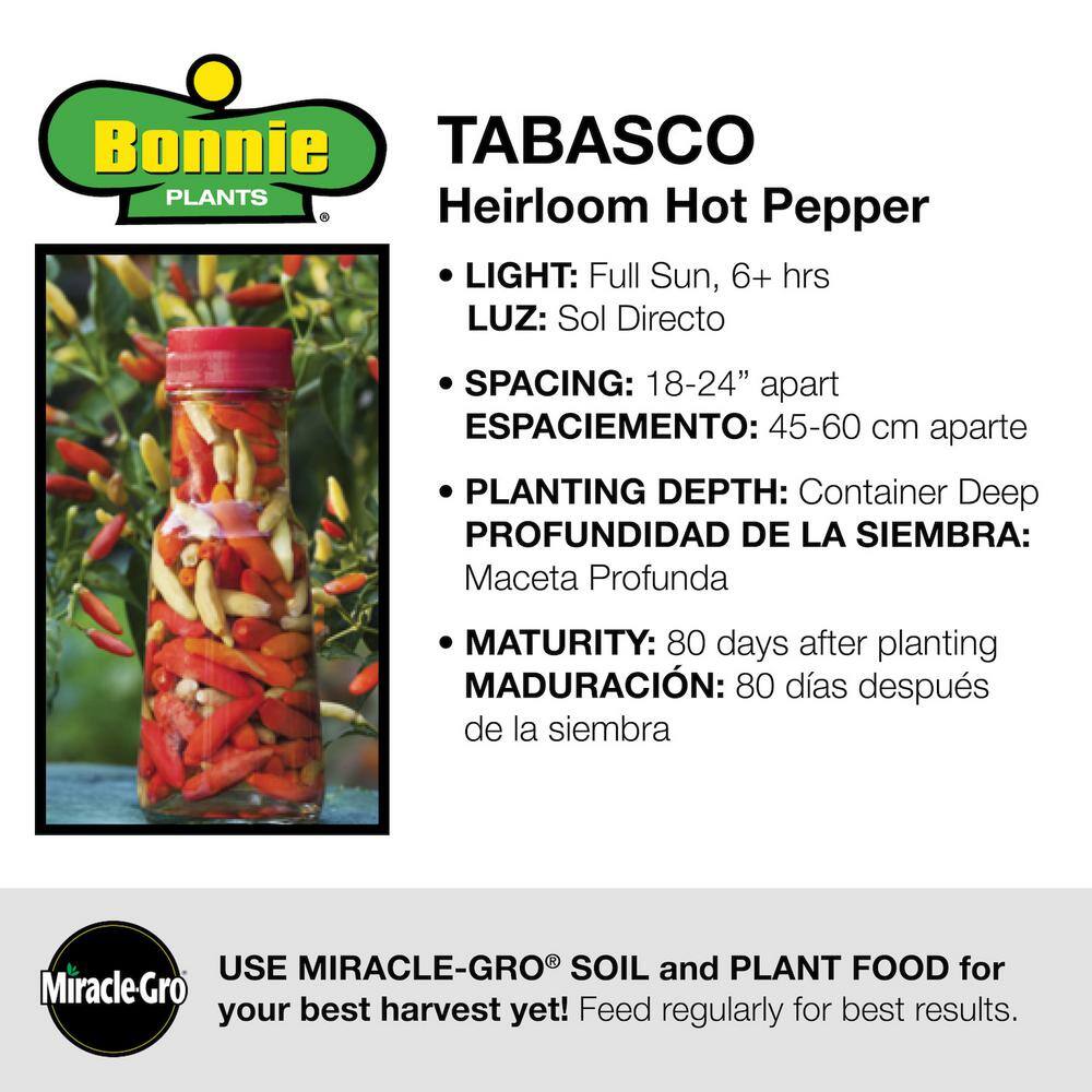 Bonnie Plants 19 oz. Tobasco Hot Pepper Plant 1003800769