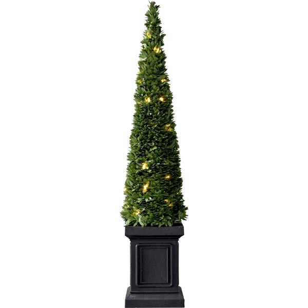 Fraser Hill Farm Set of Two 40 Boxwood Topiary Cones