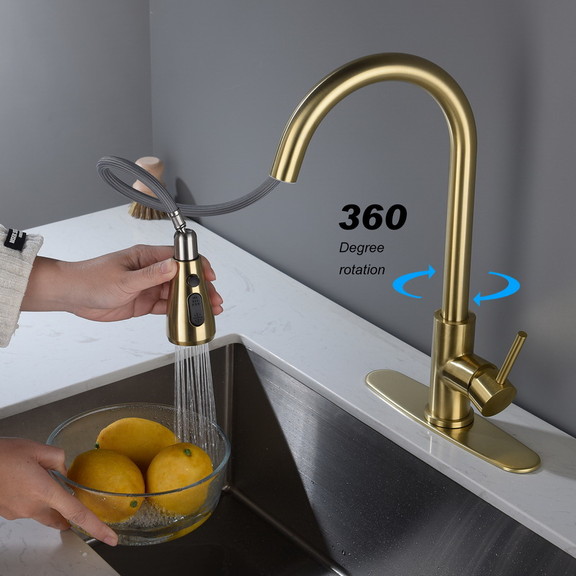 Kitchen Faucet with Pull Out Spraye TH 4003LSJ