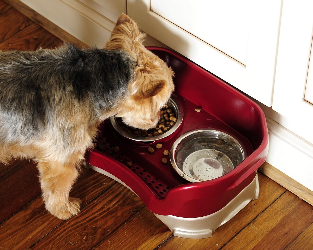 Neater Pets Neater Feeder Deluxe Elevated and Mess-Proof Dog Bowls