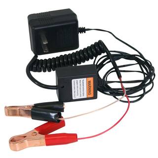 Buffalo Tools 12-Volt Automatic Battery Float Charger BFC12