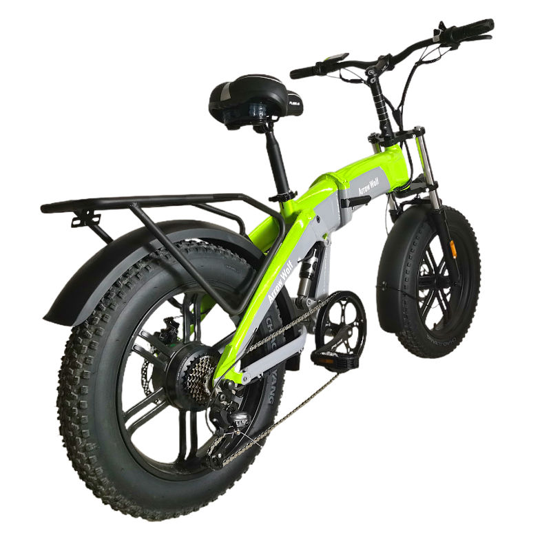 CQHZJ High Quality 750W Mountain Beach Bike 20 4 Tire Cycling Snow Ebike For Adults Cycling E  BIKE