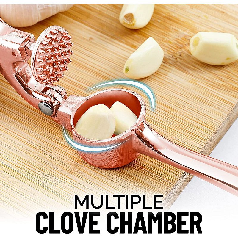 Garlic Press