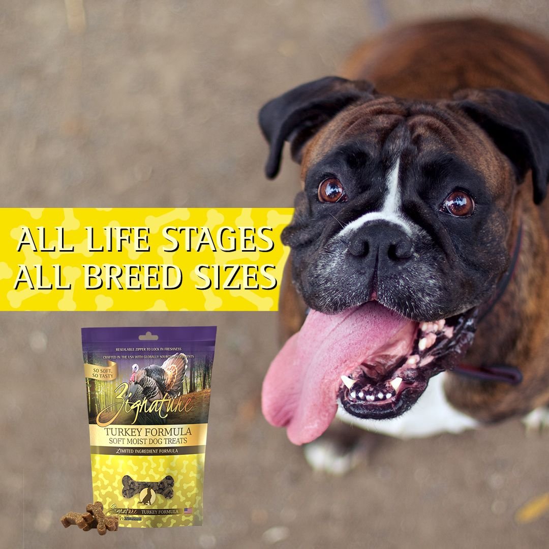 Zignature Turkey Flavored Soft Dog Treats