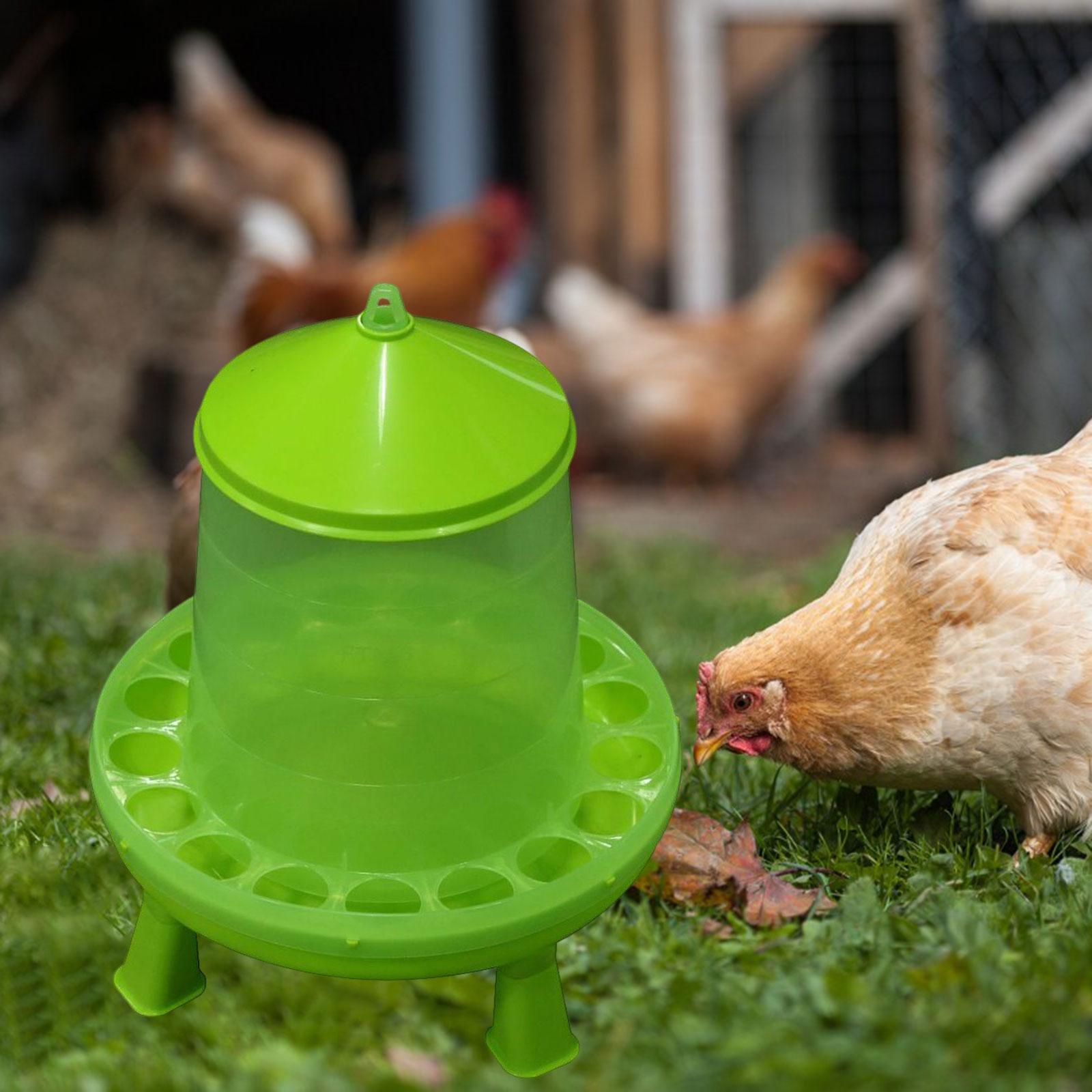 Green Chicken Feeder Chick Feeder feed Dispenser Feeding Tool with Feeding Holes 8kg