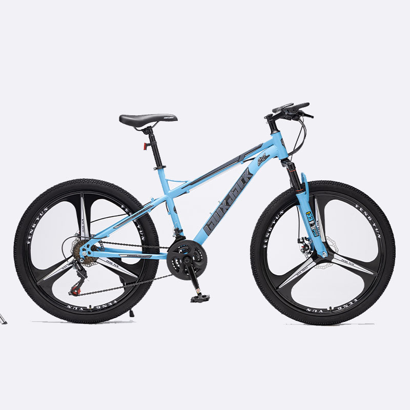 Factory customized OEM High quality Mountain bikes and Cycle with lock fork