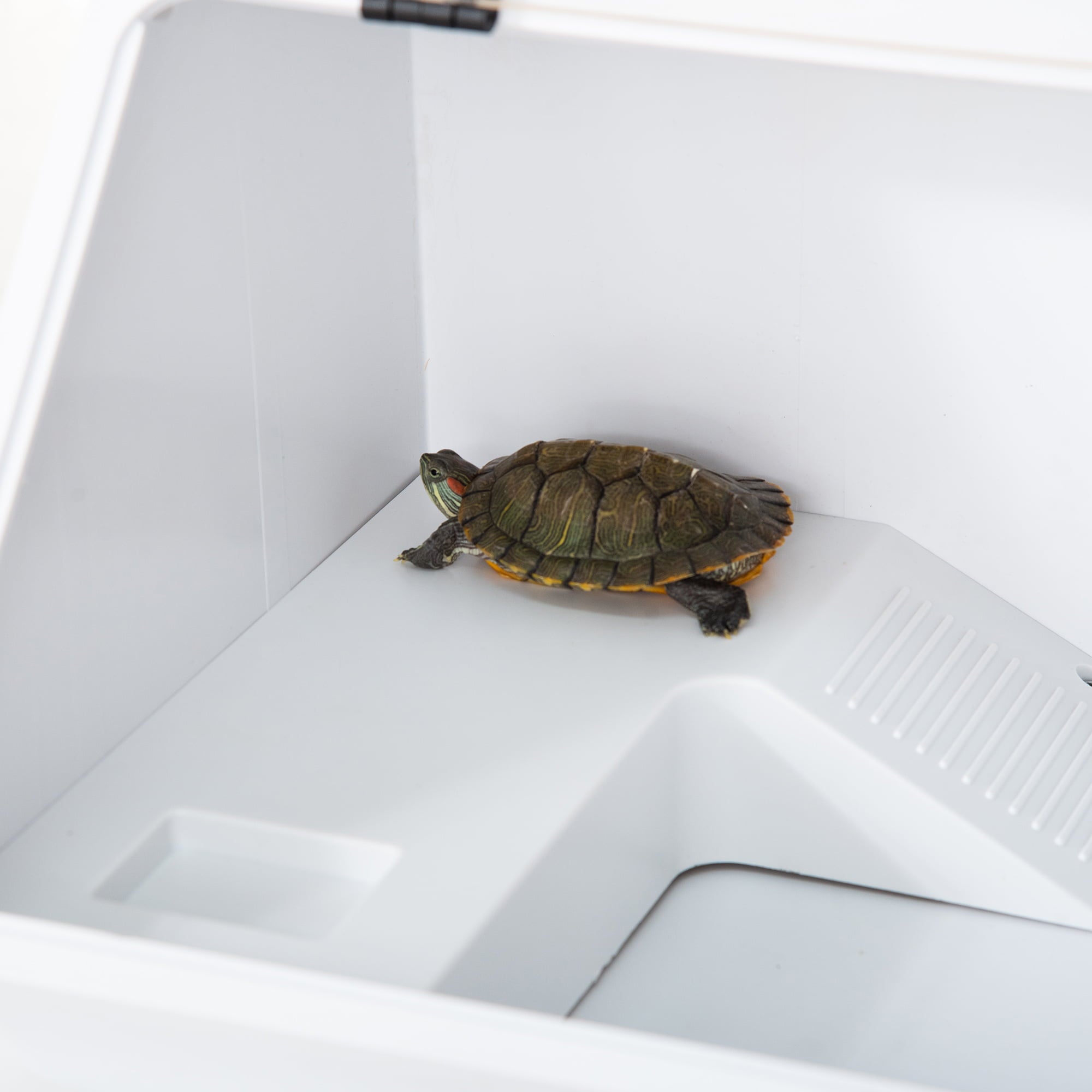 PawHut Turtle Tank with Basking Platform， Feeding Trough， Ramp， 19