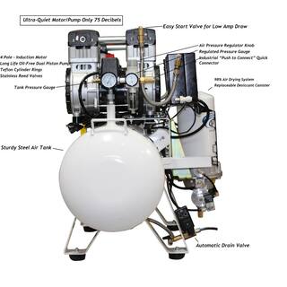 California Air Tools 20 Gal. 4.0 HP Ultra-Quiet Ultra Dry and Oil-Free Electric Stationary Air Compressor with Air Dryer and Auto Drain 20040DCADC