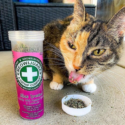 Meowijuana Mice Dreams Catnip， Passion Flower， and Lavender Blend Catnip