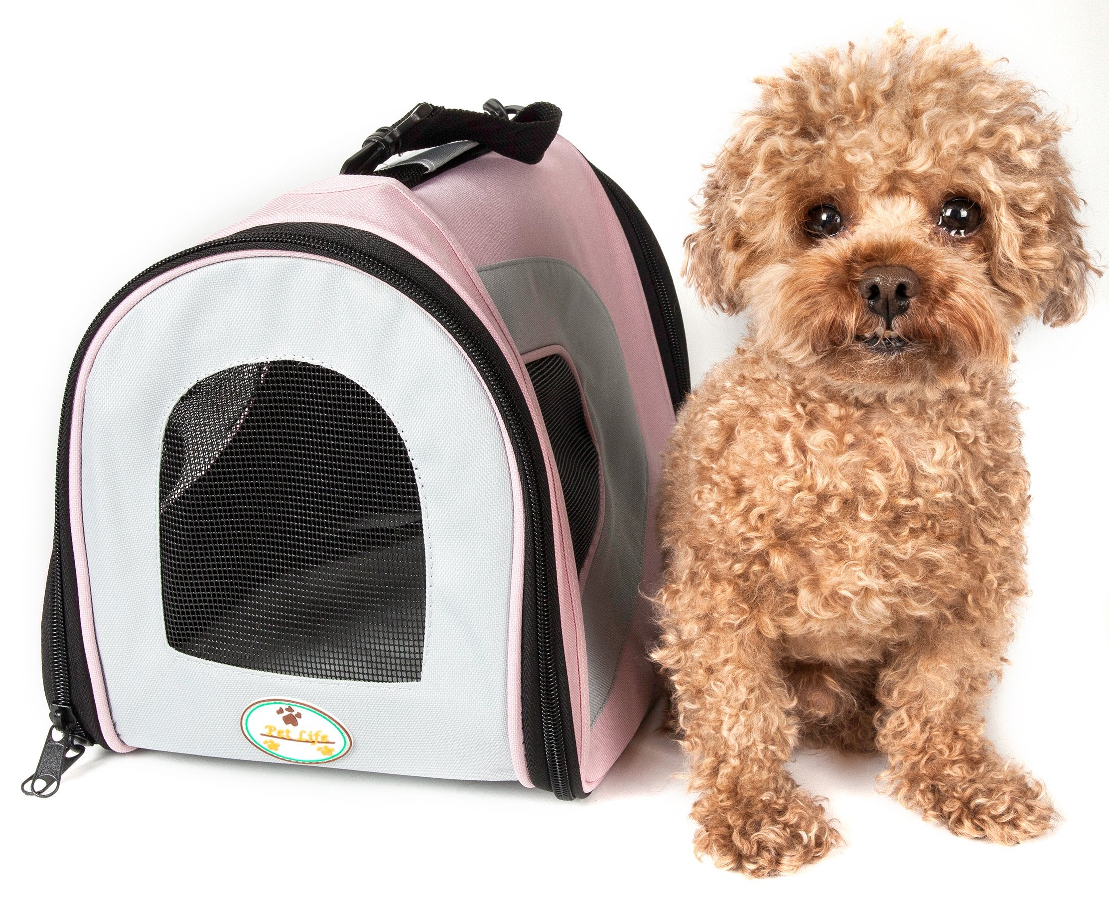 Pet Life Airline Approved Folding Sporty Mesh Carrier