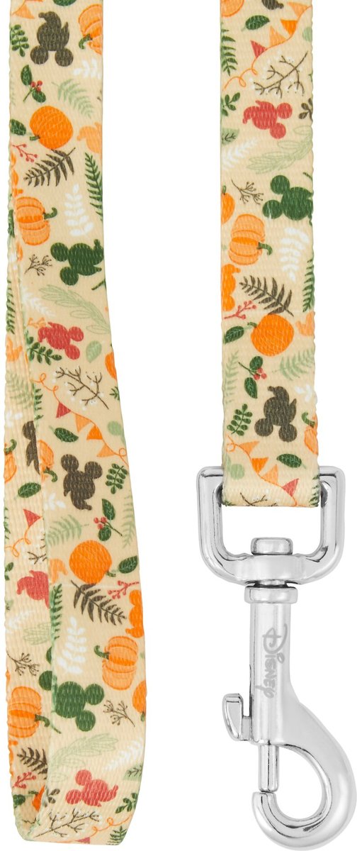 Disney Mickey Mouse Holiday Dog Leash