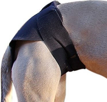 Healers Rear Anxiety Vest for Dogs