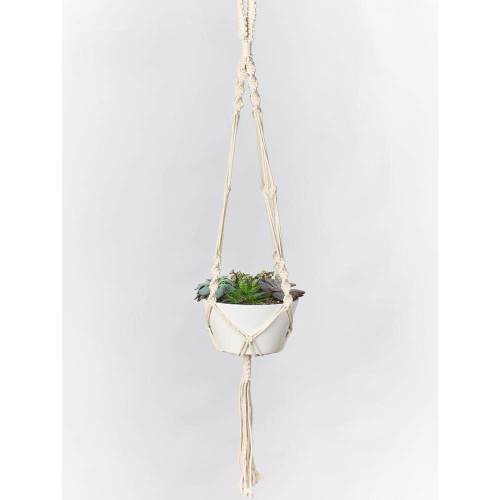 Primitive Planters 42 in. Ivory Woven Cotton Twisted Cord Plant Hanger 9055