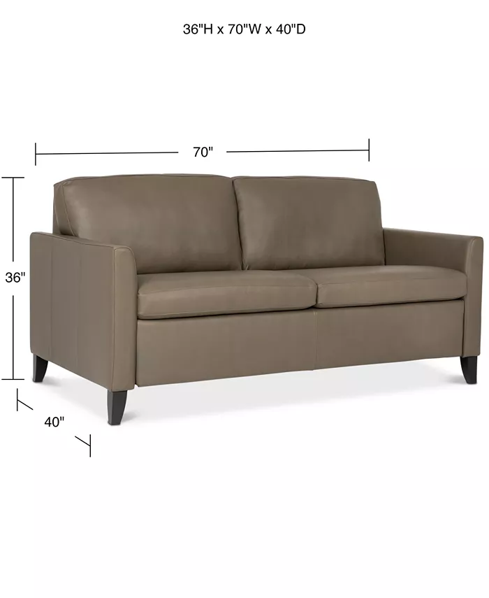 Furniture Priley 70 Leather Queen Sleeper Sofa