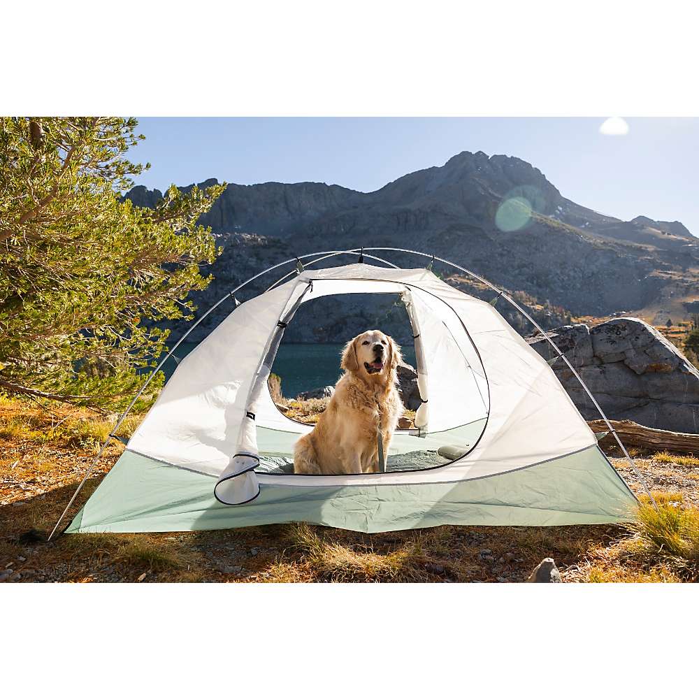 ALPS Mountaineering Felis 4 Person Tent