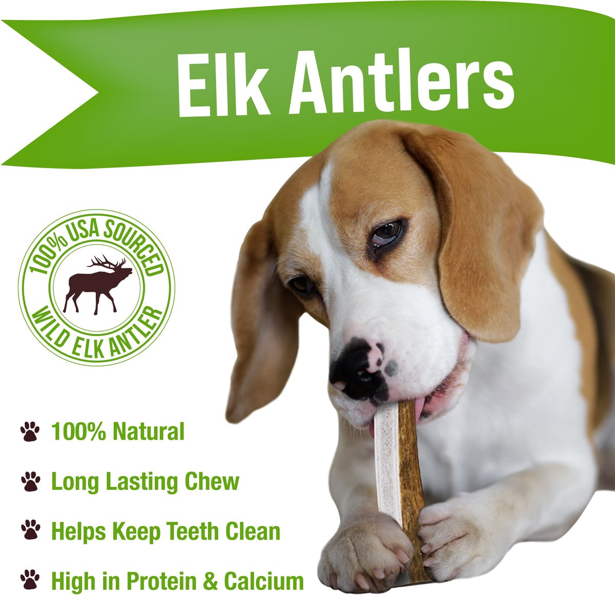 Buck Bone Organics Whole Elk Antler Dog Chews， 4.5 - 5 in