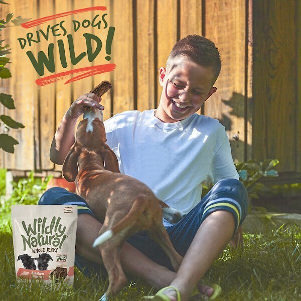 Wildly Natural Whole Jerky Alaskan Salmon Grain-Free Dog Treats， 5-oz bag