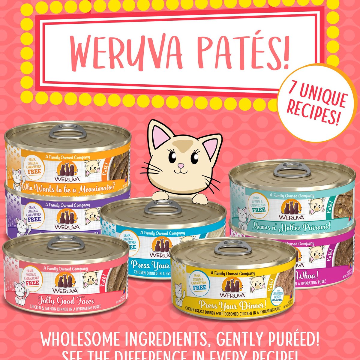 Weruva Classic Cat Jolly Good Fares Chicken and Salmon Pate Canned Cat Food