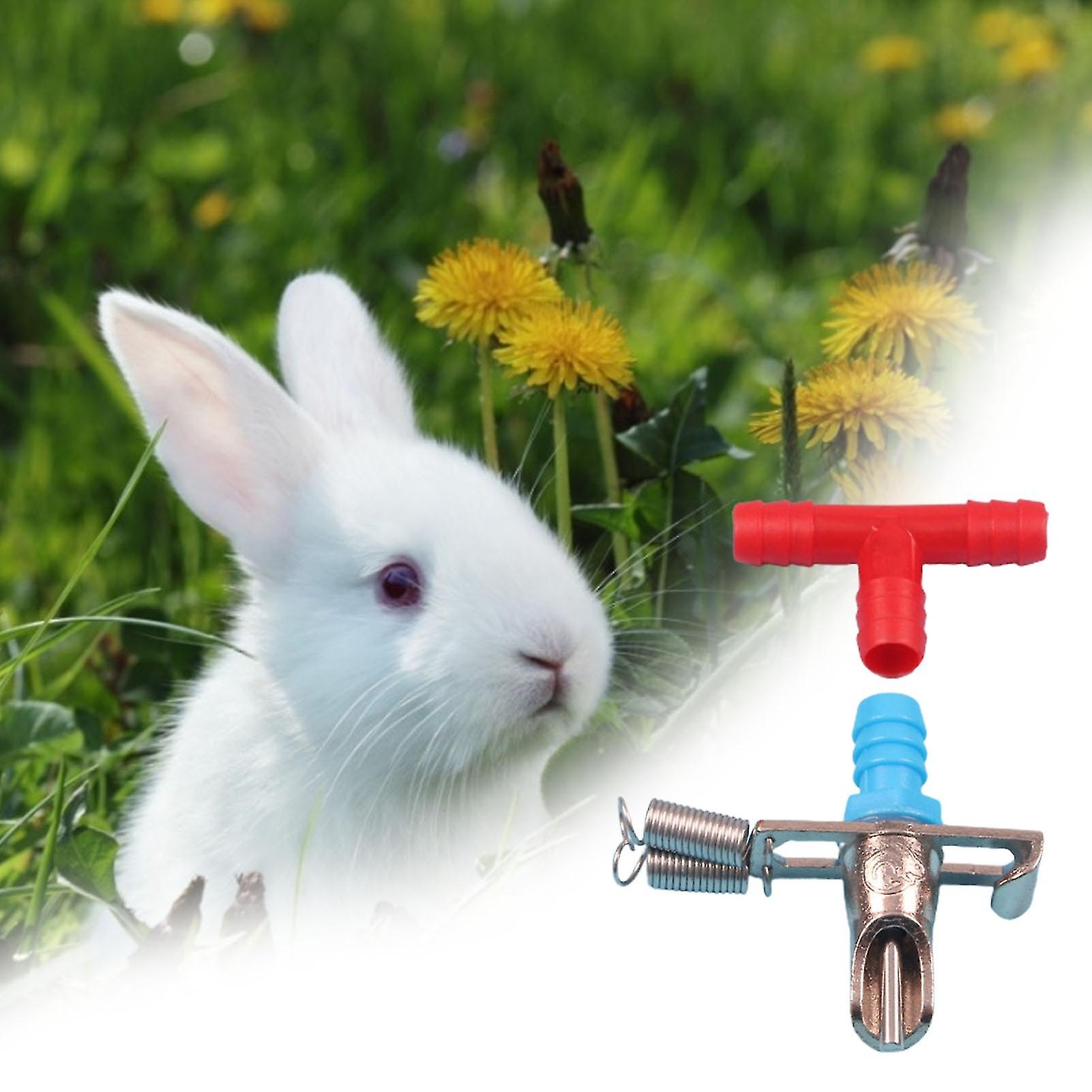 Miman 3 Sets Drinking Water Mouth Automatic Double Springs Pet Supplies Bunny Drinker Nipple Dispenser For Rabbit