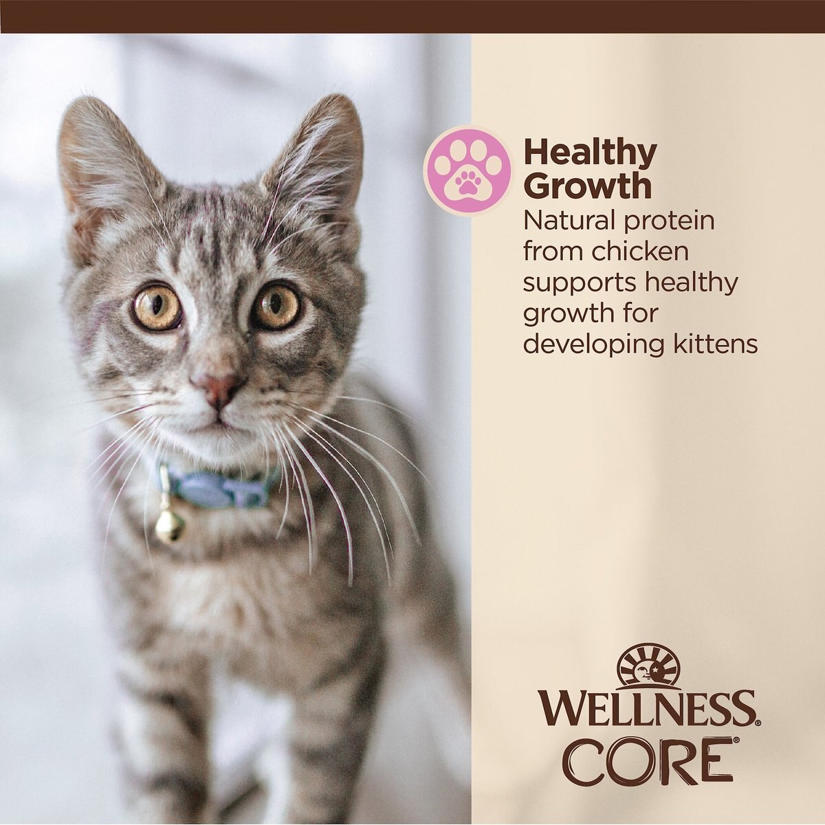 Wellness CORE Tiny Tasters Kitten Chicken Grain-Free Pate Wet Cat Food， 1.75-oz pouch， case of 12