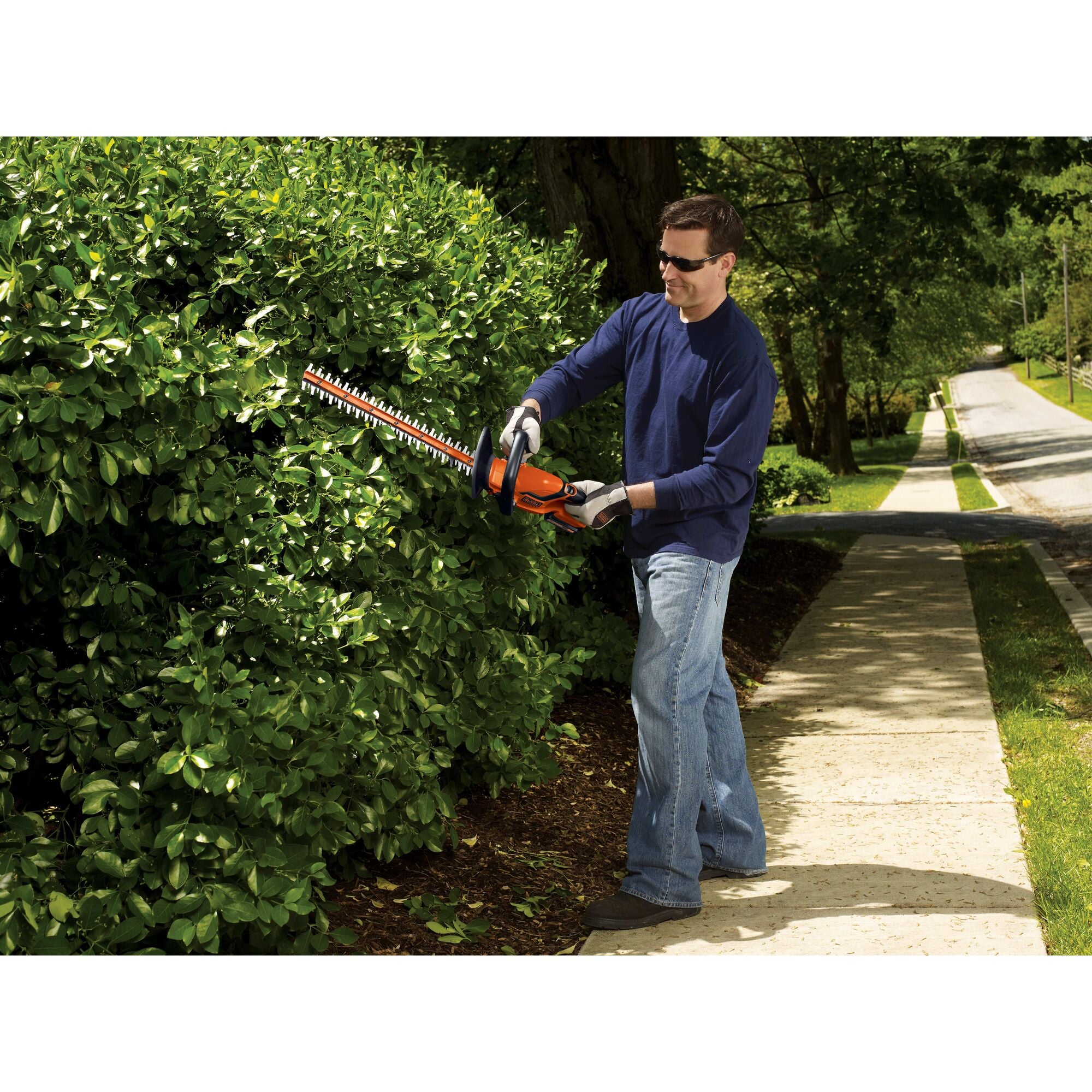 20V MAX* Cordless Hedge Trimmer, 22-Inch, Tool Only