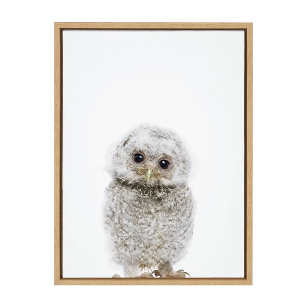 X 24 quot Sylvie Animal Studio Owl Framed Canvas By Amy Peterson Natural Kate amp Laurel All Things Decor