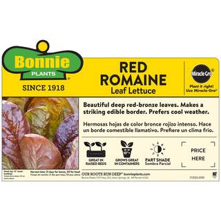 Bonnie Plants 1.19 qt. Red Romaine Lettuce Plant (6-Pack) 0054