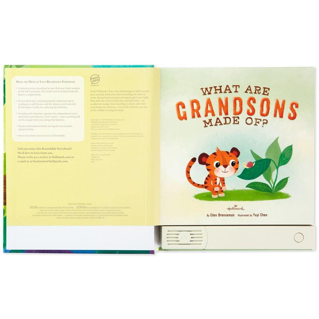 Hallmark  What Are Grandsons Made Of? Recordable Storybook